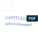 CAPITULO II Analisis de Microempresa de Bisutería