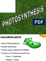 PHOTOSYNTHESIS