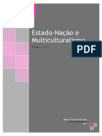 Estado Nacao e Multiculturalismo