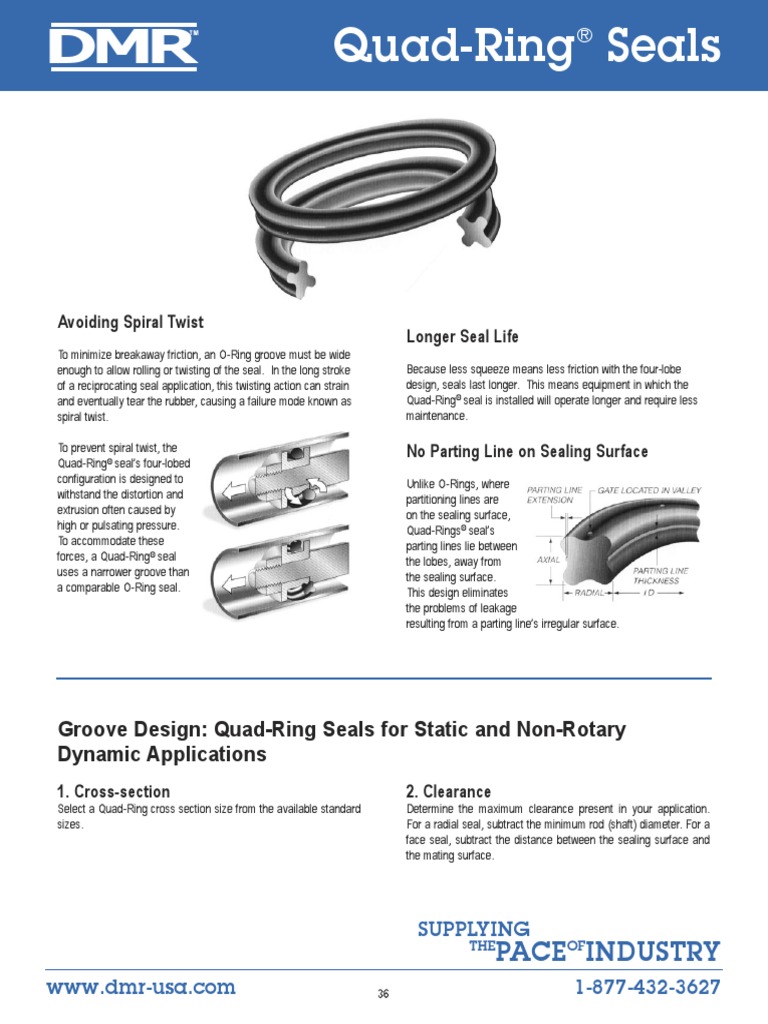 Selection Guide/Standard Size Quad-Ring® Brand Seals and Quad