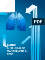 Ghid Globo Bpoc 2010