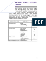 Bacillus, Clostridium