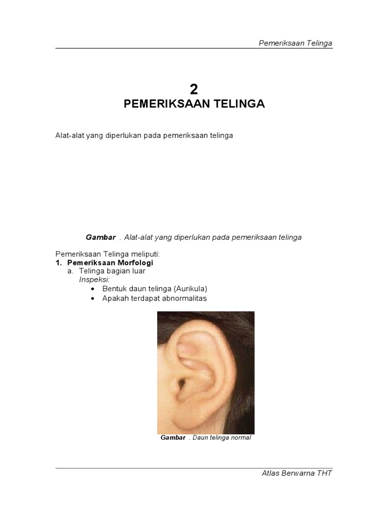 Prosedur Pemeriksaan Telinga Normal | PDF | Kajian Bahasa Asing | Sains ...