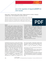 Role of Adrenoceptores in The Regulation of Dopamine-DARPP31 Signaling in Neostriatal Neurons