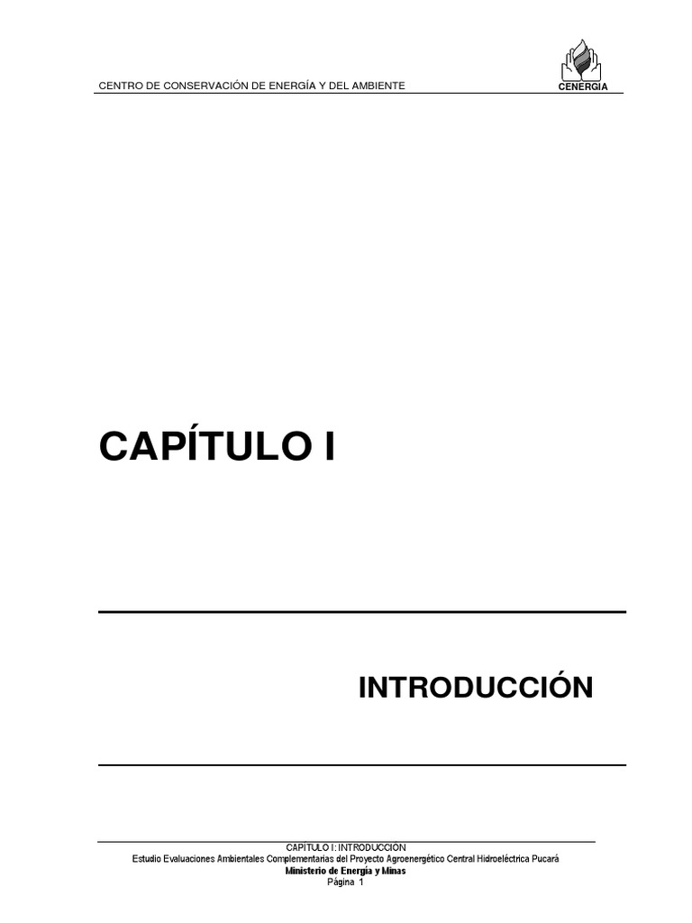 Capitulo I | PDF