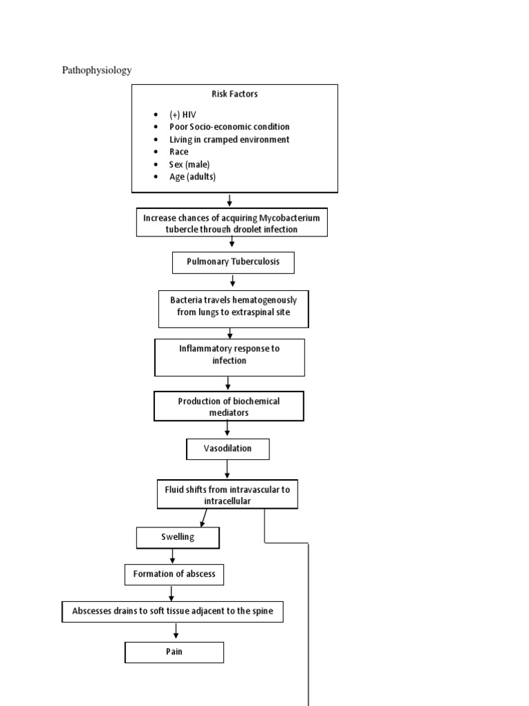 Pathophysiology Pott's Disease