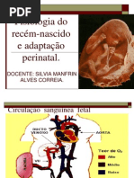 7- Fisiologia Do Rn e Adaptação Perinatal (1)