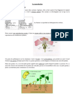 Reproduction Des Vegetaux