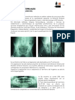 Cadera y Cordales PDF