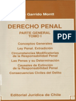 Derecho Penal Tomo i Garrido