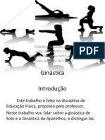 Ginástica Solo e Aparelhos Elementos