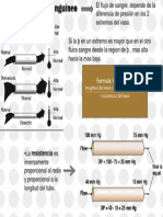 Leyes de Flujofisiob2