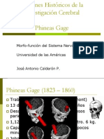 Clase 4 Phineas Gage