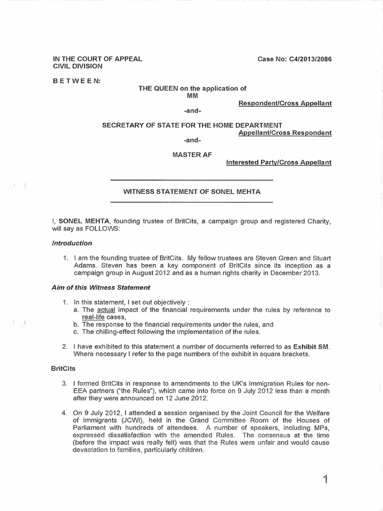Sonel Witness Statement - 16 Pages | PDF