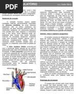 Sistema Circulatório
