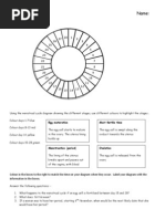 Female Reproductive System Worksheet - Answers | PDF