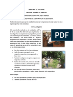 informe pedagogico del proyecto