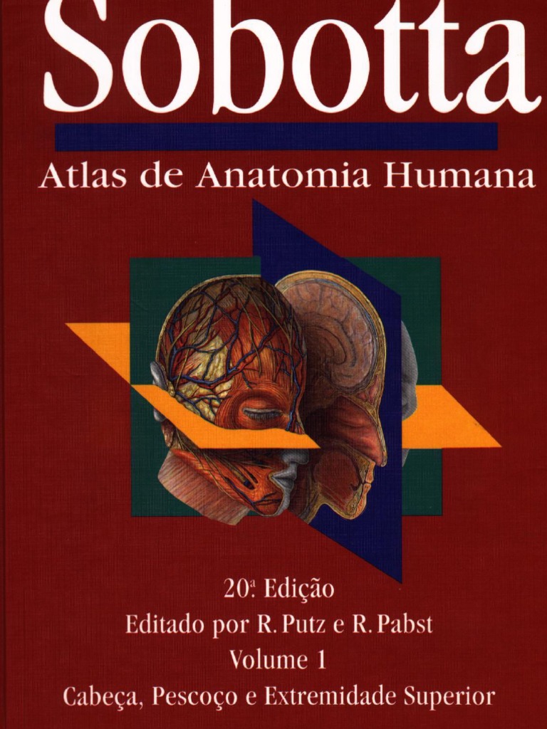 Sobota Powerpoit1 | PDF