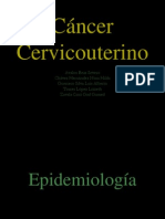 cancercervicouterino-100119011039-phpapp01