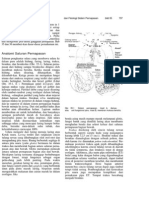 Anatomi Saluran Pernapasan: Dan Fisiologi Sistem Pernapasan 35 737