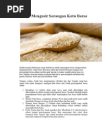 Download 5 Tips Mengusir Serangan Kutu Beras by Unk Hakiyu SN229113795 doc pdf