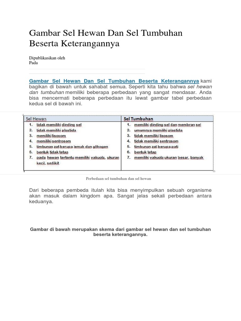 Gambar Sel Hewan Dan Sel Tumbuhan Beserta Keterangannya