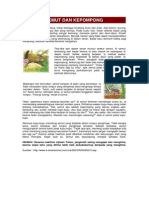Download cerita-anak-bergambarpdf by nugifina SN229116398 doc pdf