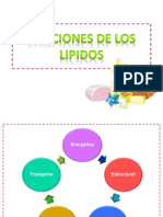 Funciones de Los Lipidos