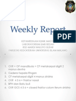 Weekly Report. 20112013pptx