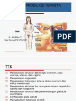 Sistem Reproduksi Wanita 