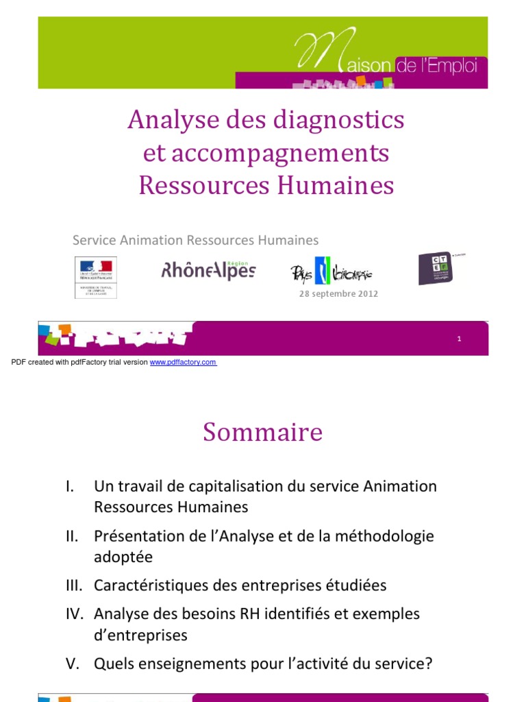 Rapport de Diagnostic Rh  Ressources humaines  Recrutement