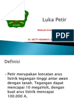 Luka Petir