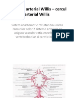 Poligonul Arterial Willis