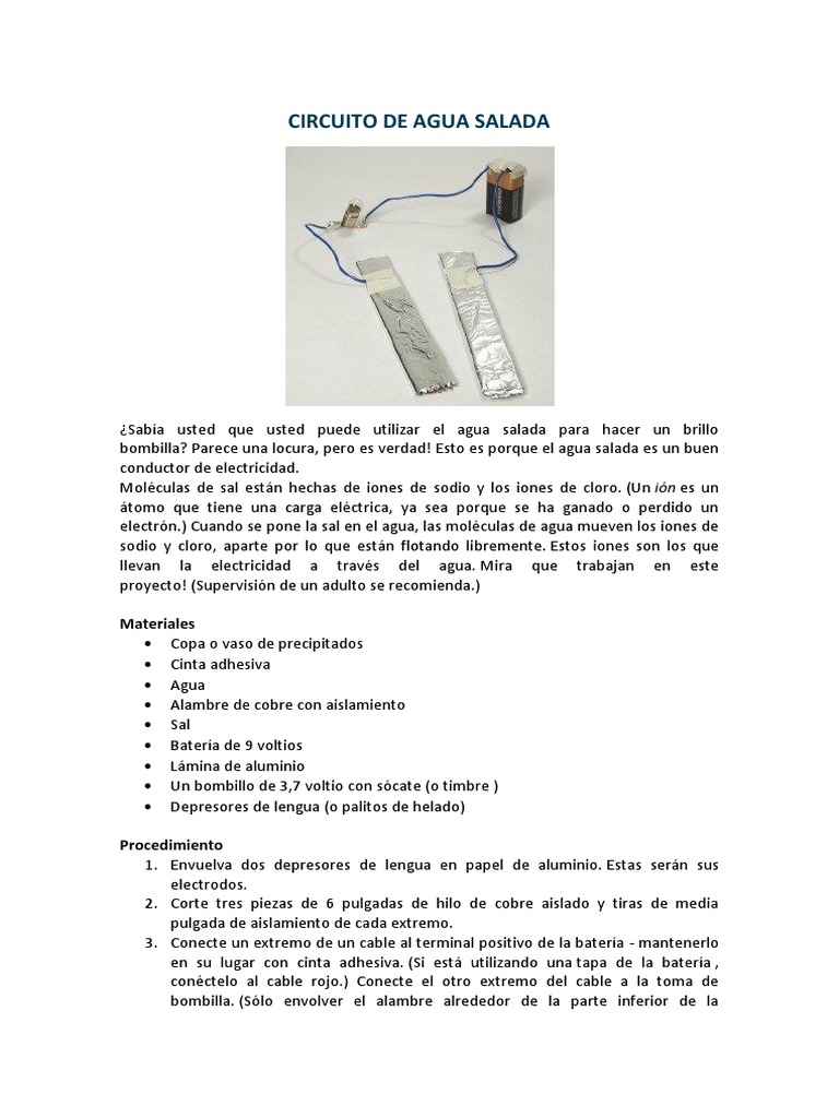Juego De Experimento De Batería De Agua Salada – Generación De Energía Casero Para Niños Y Estudiantes, Aprende Electricidad