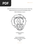 Download Taufiqo Nugraha s by Wahyudi Cahya Aprillian SN229188592 doc pdf