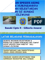 Spesies Asing Di Ciliwung