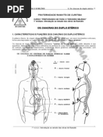18974448-Apostila-Ramatis-08-Os-chacras-do-duplo-eterico.pdf