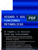 Higado y Sus Funciones Metabolicas