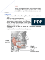 Parotidita epidemica