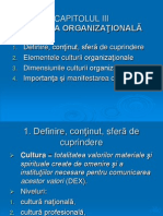 Cultura Organizationala