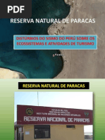 Reserva Paracas