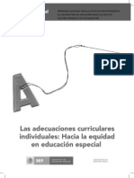 Adecuaciones Curriculares