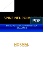 Spine Neuroimaging Dr. Bekti