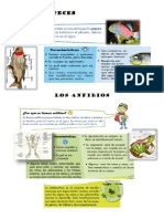 Los Peces PDF