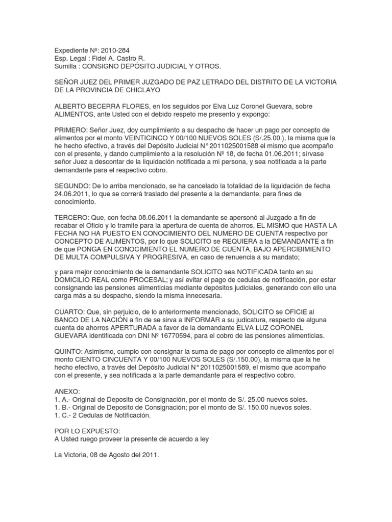 Consignacion de Deposito Judicial | PDF | Virtud | Información del gobierno