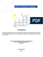 Procesos de la fotosíntesis