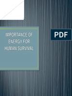 Importance of Energy For Human Survival
