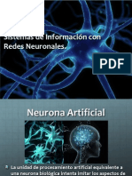 RNA Sistemas Información Redes Neuronales