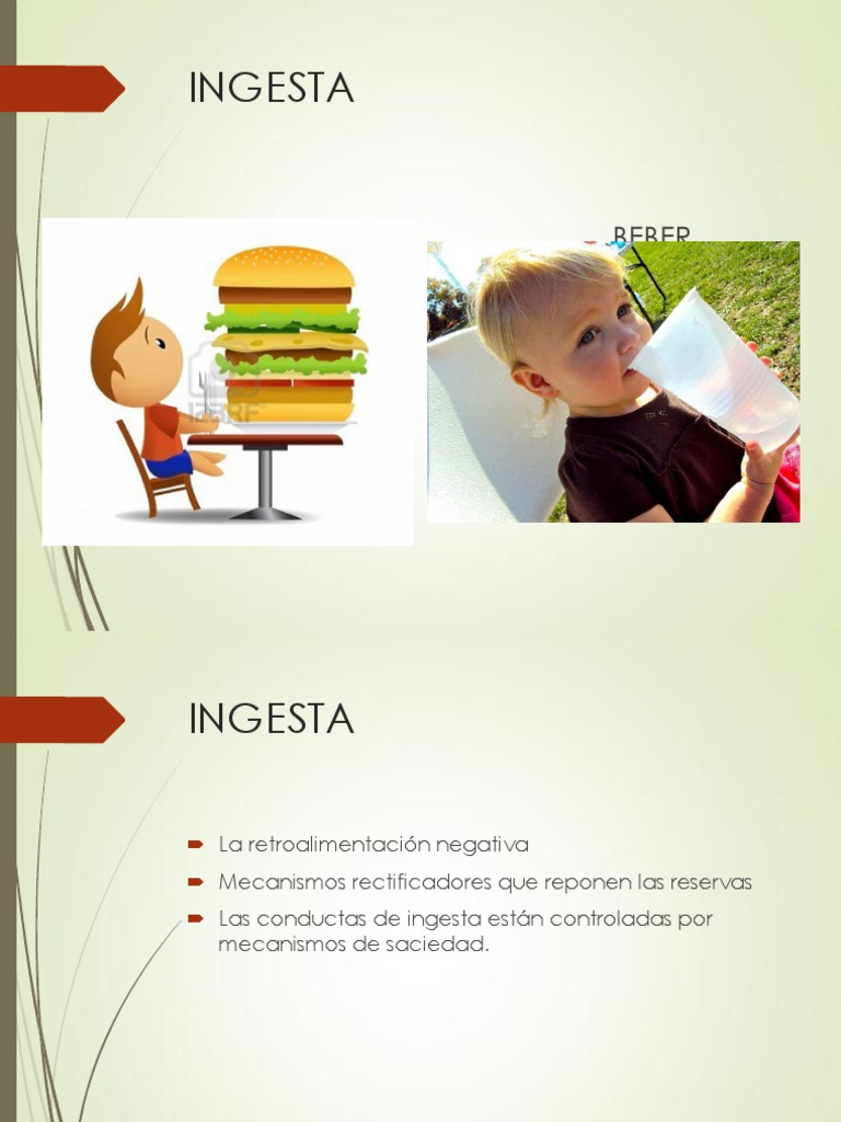 Ingest A | PDF | Anorexia nerviosa | Bulimia nerviosa