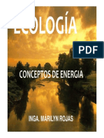 Clase 4 Conceptos de Energia